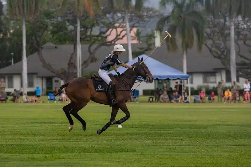 What To Wear To Polo Match