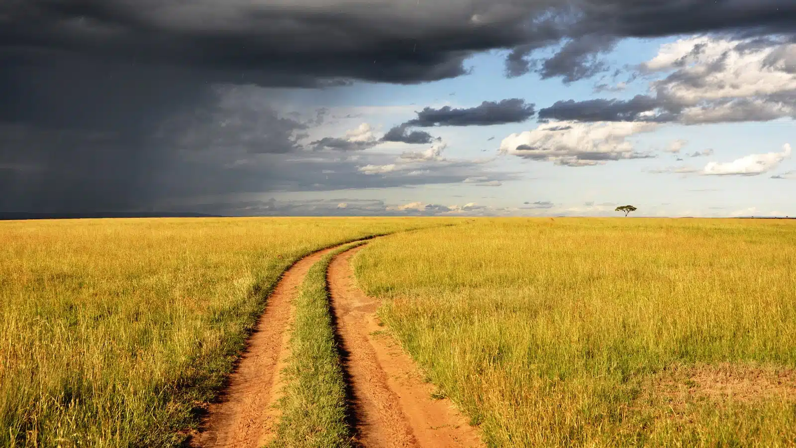 What To Wear On Safari Evenings